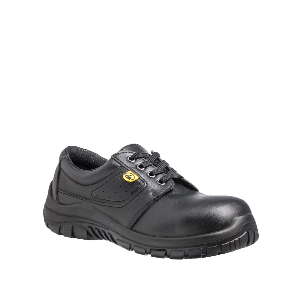 Scarpa antinfortunistica FW1010C S2 ESD
